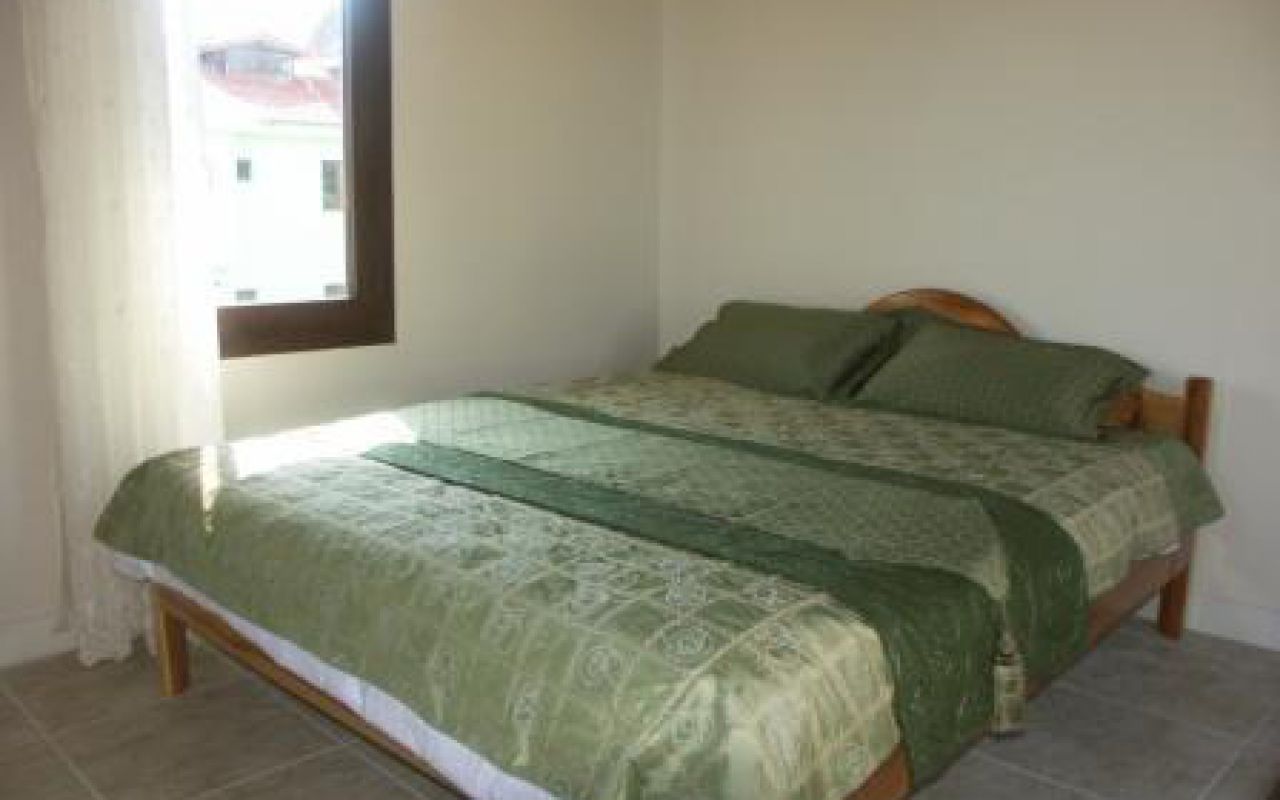 Özgenic Villa